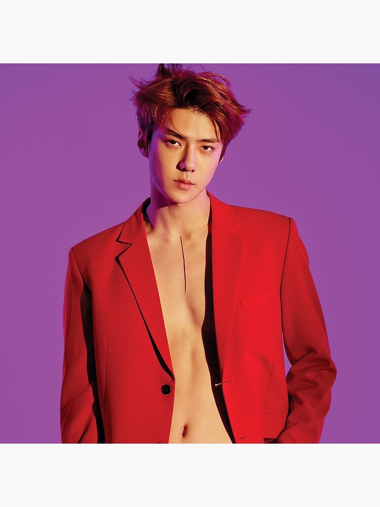 Exo Love Shot Sehun Throw Pillow - Image 2