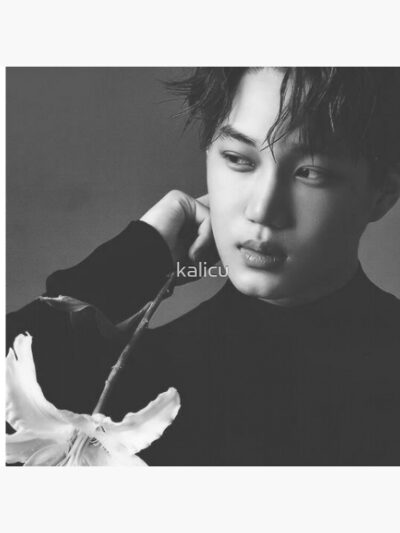 Alternative view of Exo Kai Throw Pillow