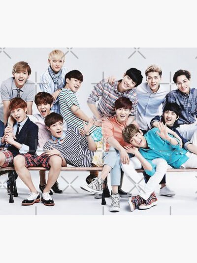 Alternative view of Ot12 Exo Boyz Tapestry