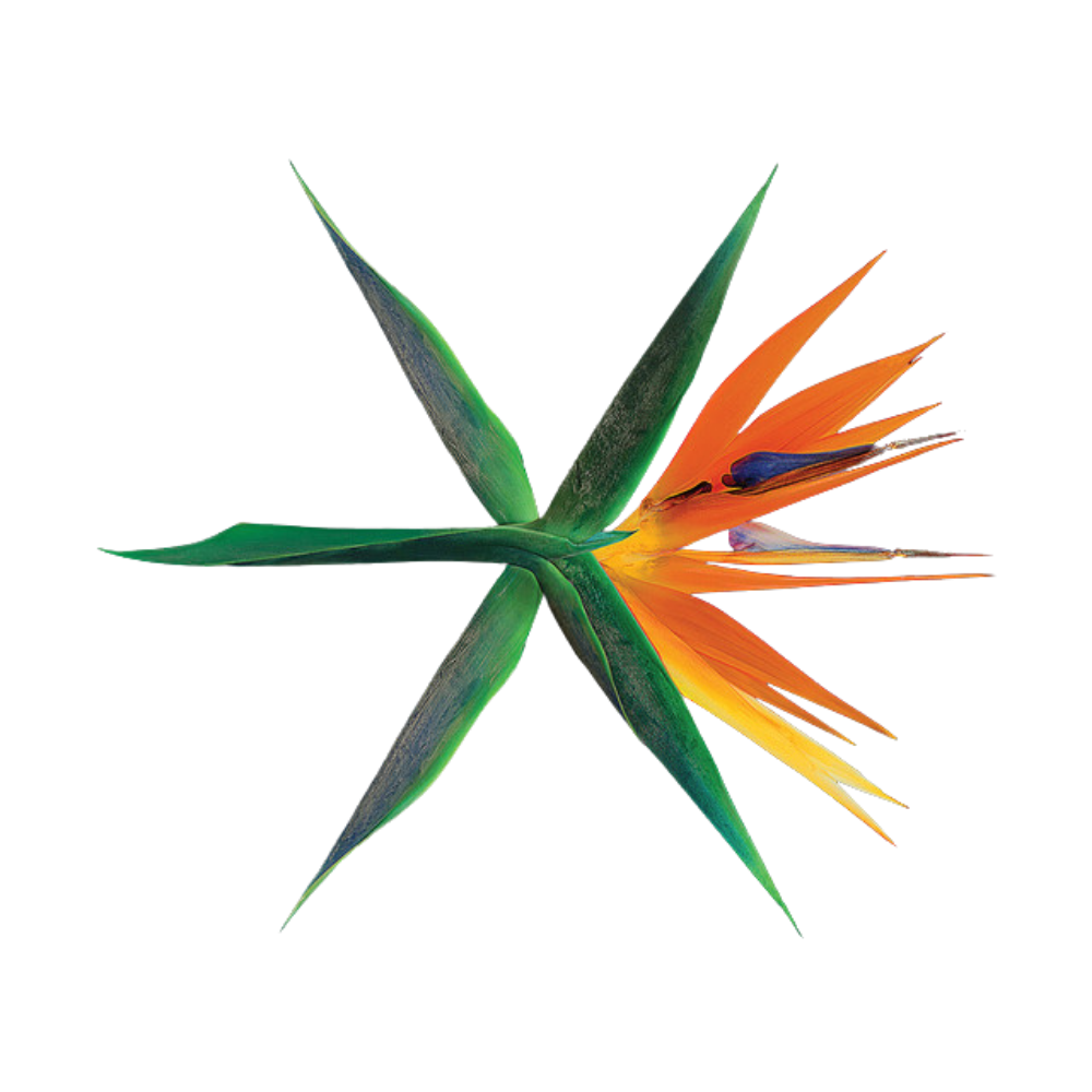 tote bags - EXO UK Shop